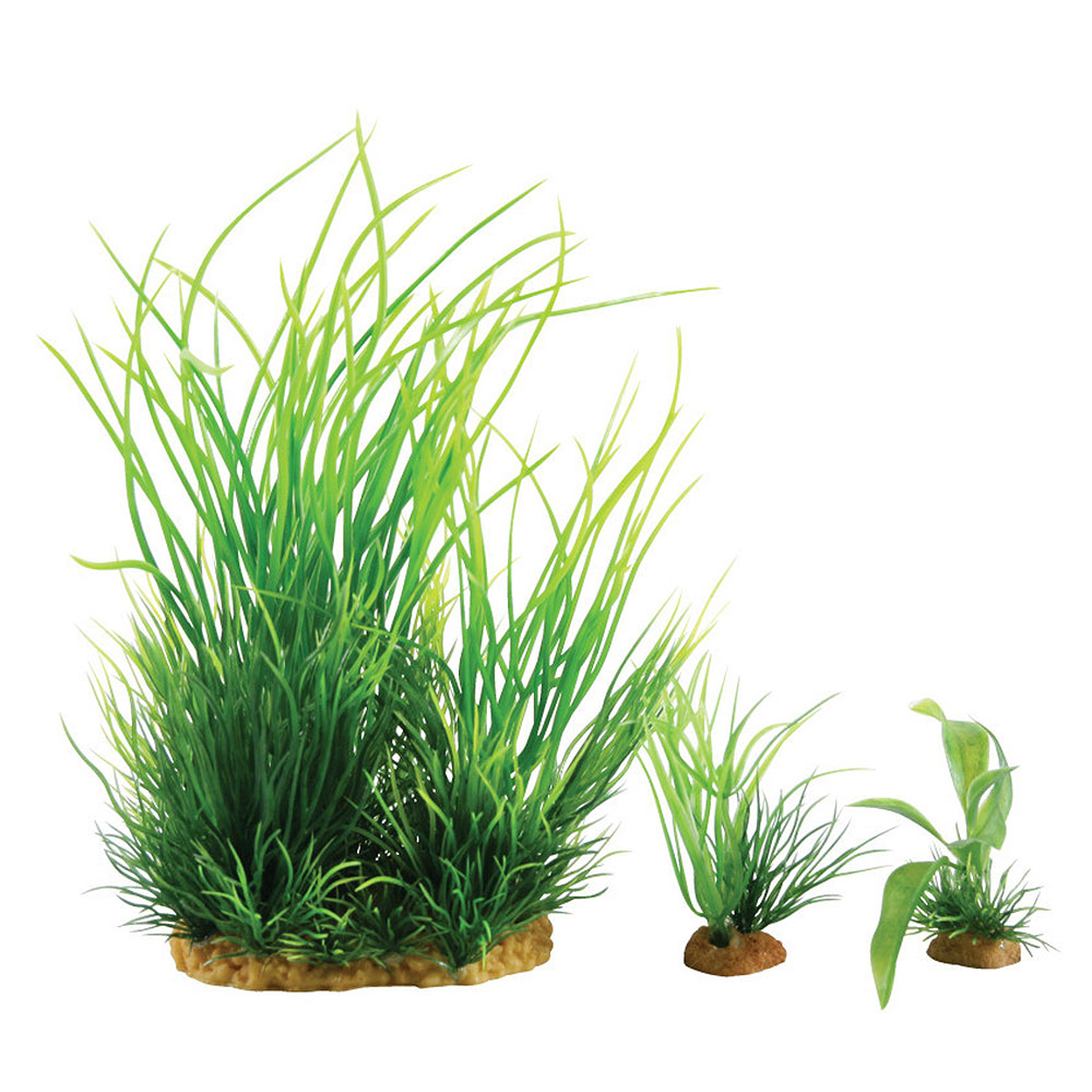 Zolux PlantKit Mix 4 Modello 1 Assortimento piantine in plastica