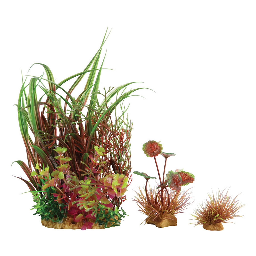 Zolux PlantKit Mix 4 Modello 2 Assortimento piantine in plastica