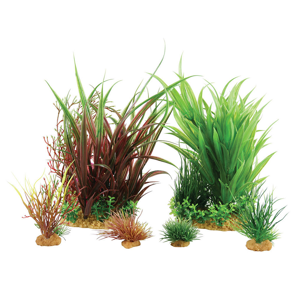 Zolux PlantKit Mix 4 Modello 2 Assortimento piantine in plastica