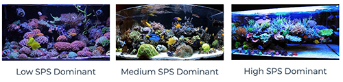 Coral Essentials Coral Power Reef KI3 Ioduro di Potassio e Iodio 50ml