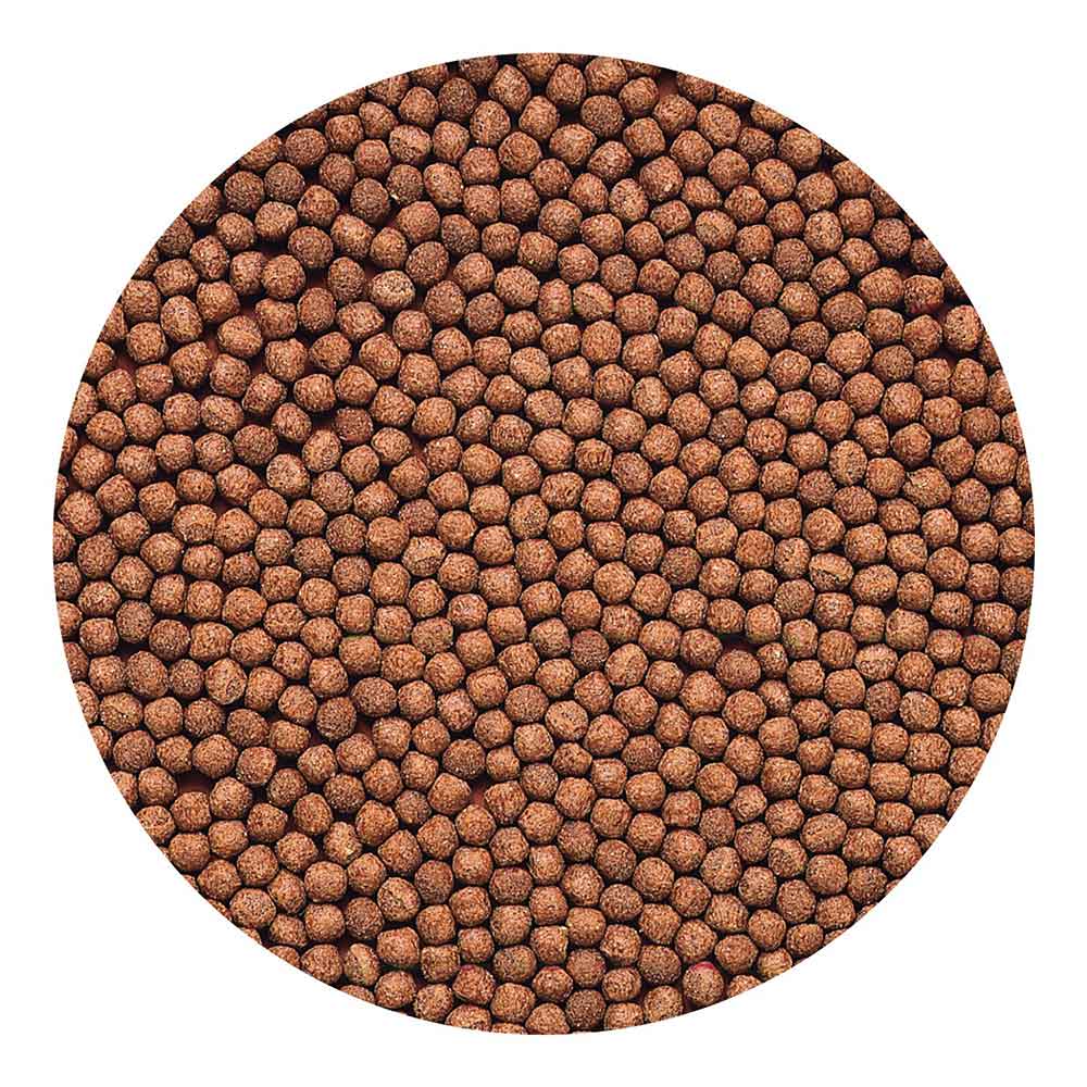 Hikari Cichlid Gold Mini Alimento per la colorazione dei Ciclidi 250g
