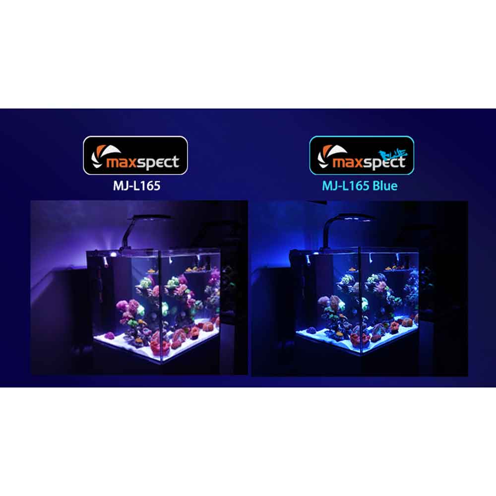 Maxspect MJ-L165 Blue Plafoniera a Led 65W