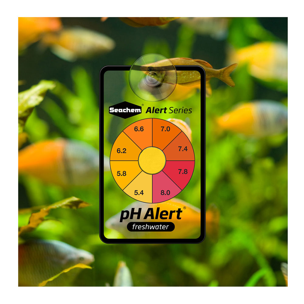 Seachem Alert Combo Doppio Test permanente per Ph e Ammoniaca