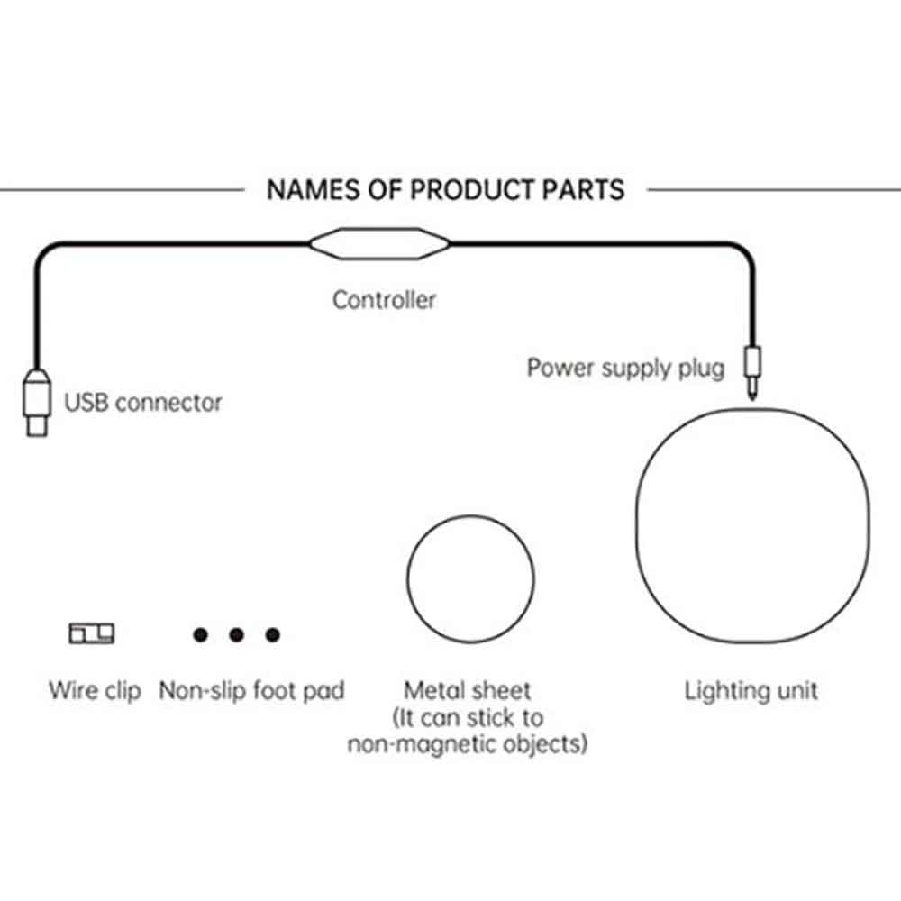 Magnetic Light