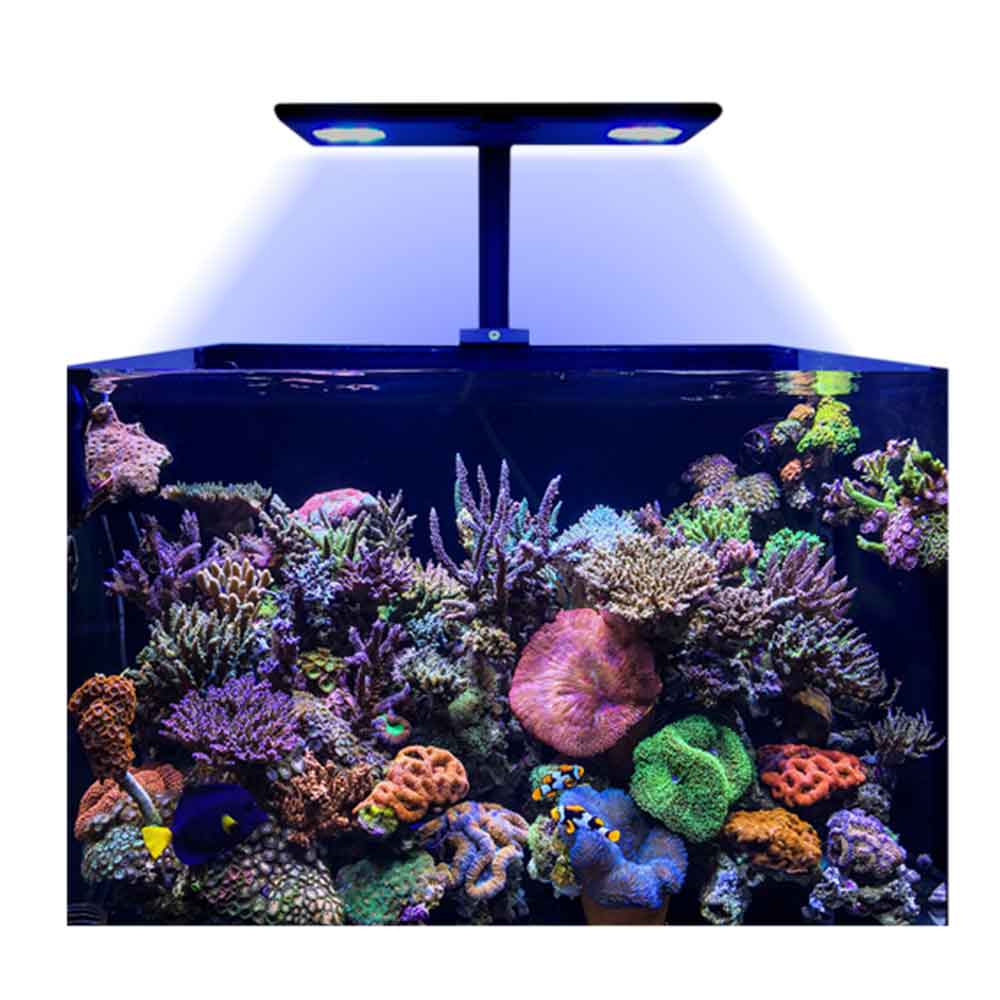 HmElectronics CORE XP Plafoniera led per Reef SPS 172W