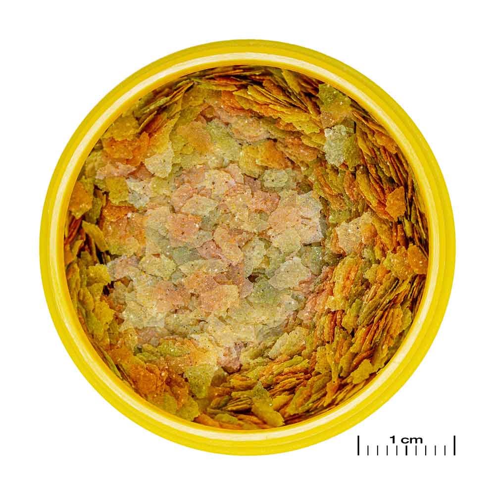 Jbl ProNovo Betta Flakes S Scaglie con Krill e Prebiotici 100ml 20gr