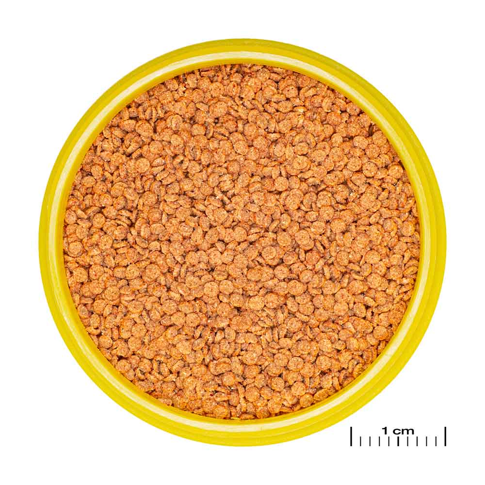 Jbl ProNovo Betta Grano S Granulare con Krill e Prebiotici 100ml 50gr