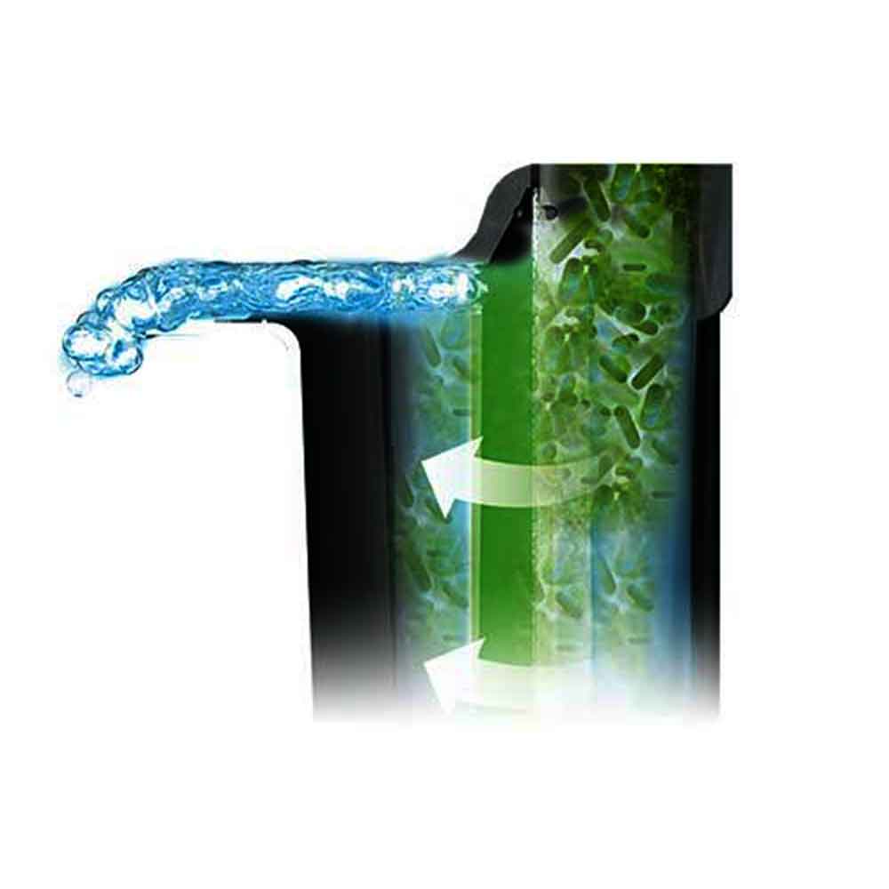 Tetra Filter Active Batteri benefici 250ml per 1000Lt
