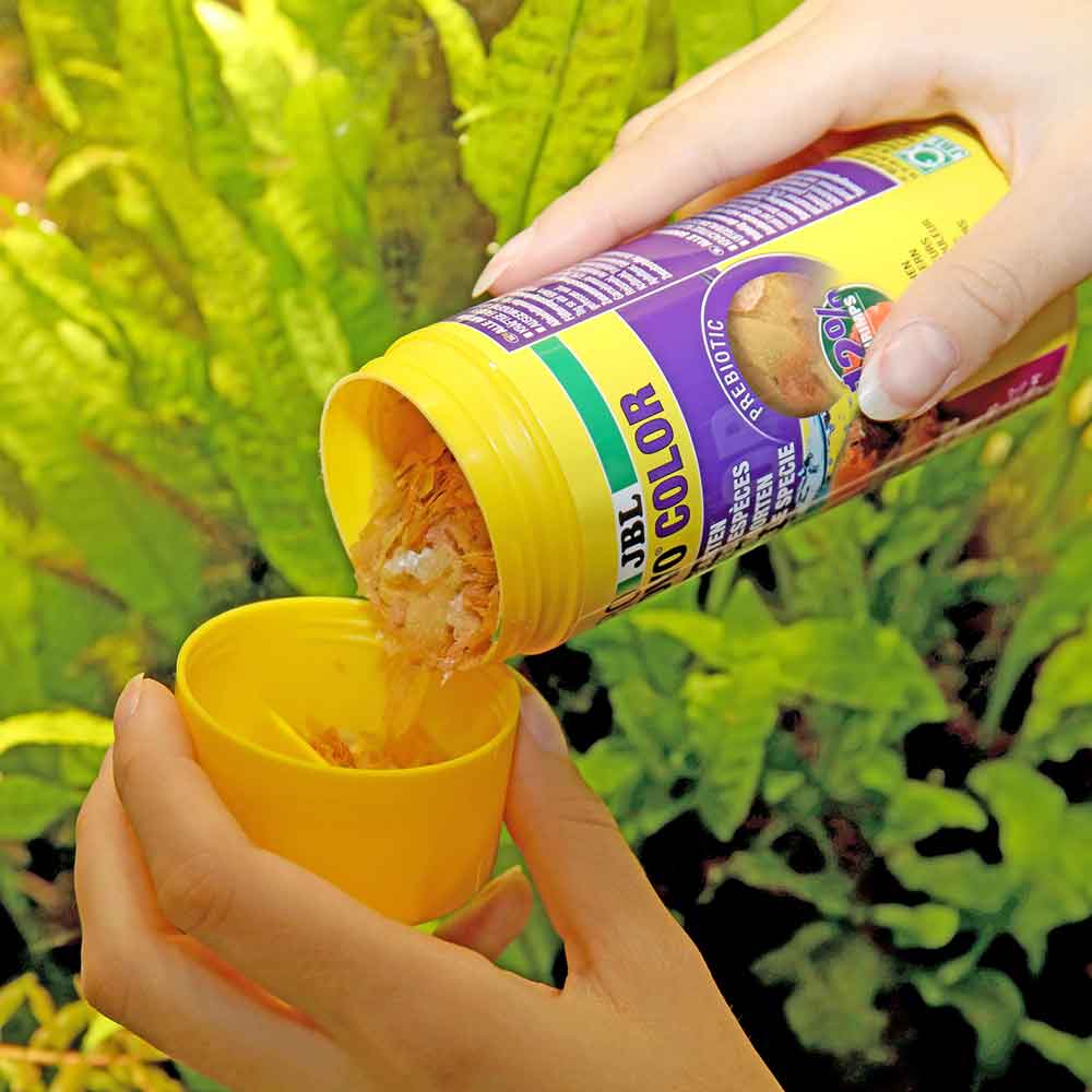 Jbl ProNovo Color Flakes M Scaglie con Shrimps e Prebiotici 250ml 45gr