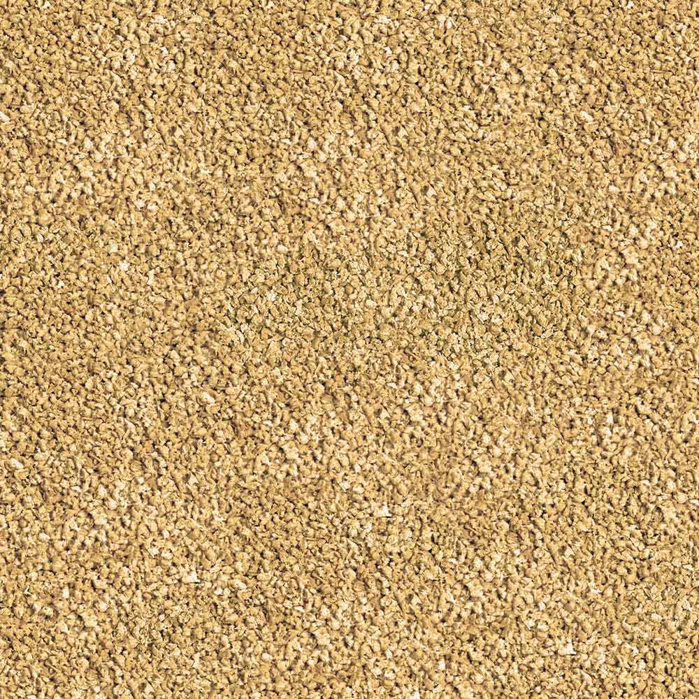 Sera Betta Granules Mangime per Betta 50ml 24gr