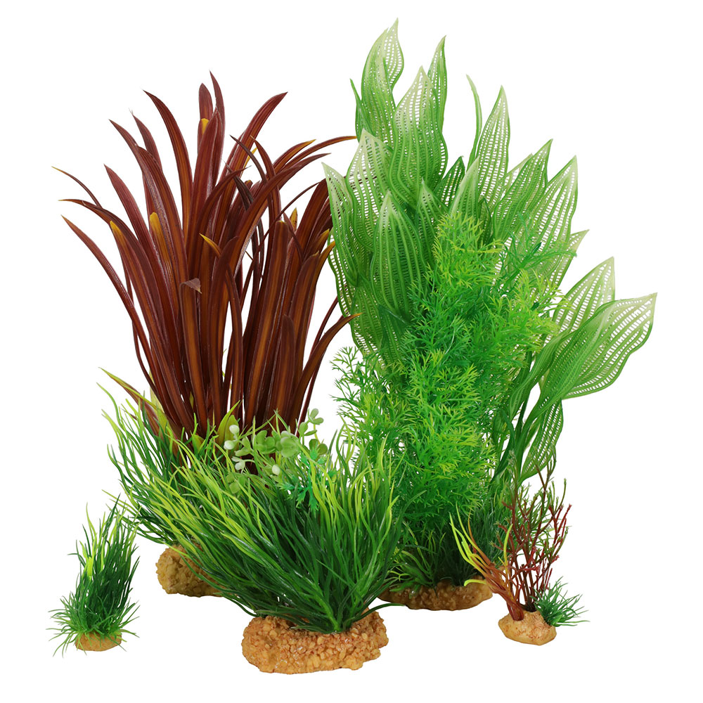 Zolux PlantKit Large 2 Assortimento 7 piantine in plastica