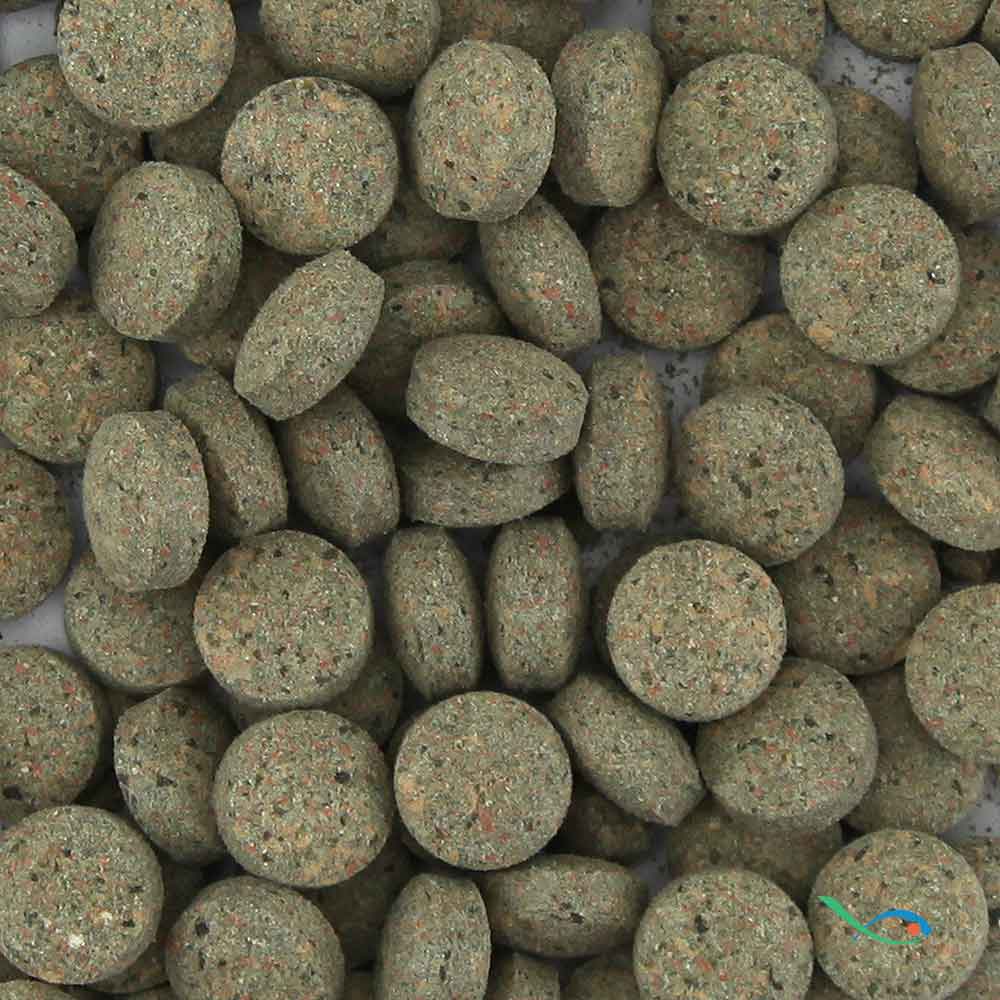 Aquaristica ABA Green Tablet Nutrition 160 Pastiglie per Pesci di fondo vegetariani 100ml 60gr