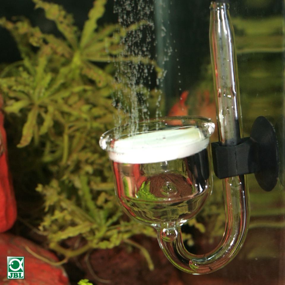 Jbl Proflora Taifun P Diffusore atomizzatore di CO2