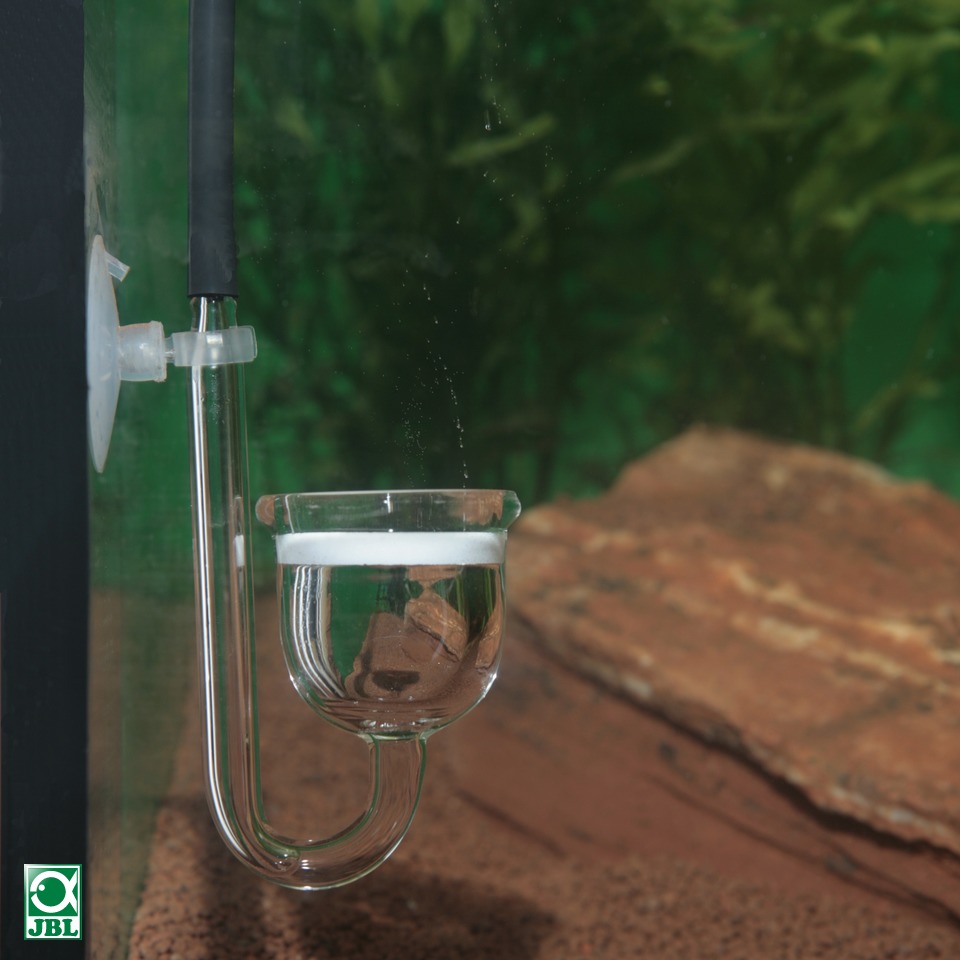 Jbl Proflora Taifun P Diffusore atomizzatore di CO2