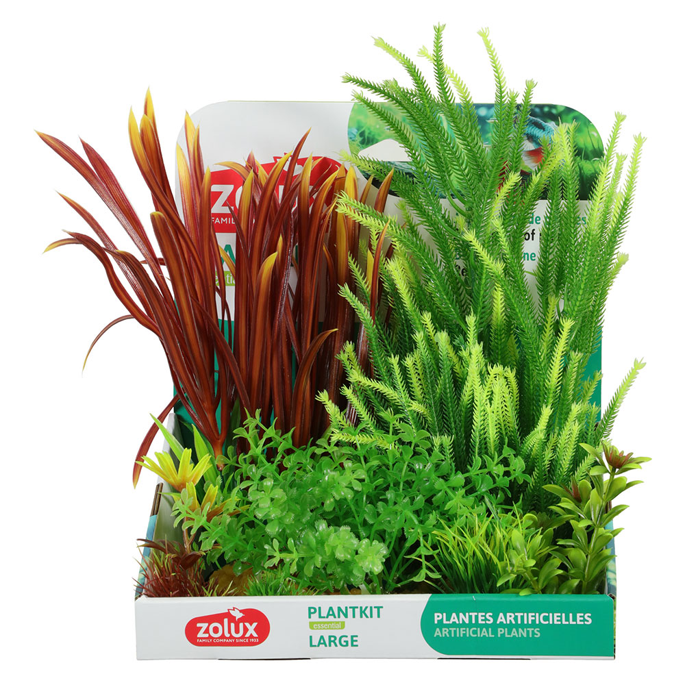 Zolux PlantKit Large 4 Assortimento 7 piantine in plastica