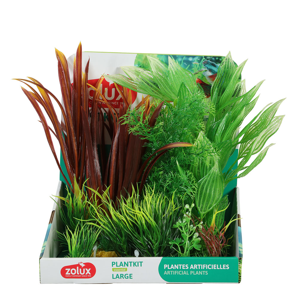 Zolux PlantKit Large 2 Assortimento 7 piantine in plastica