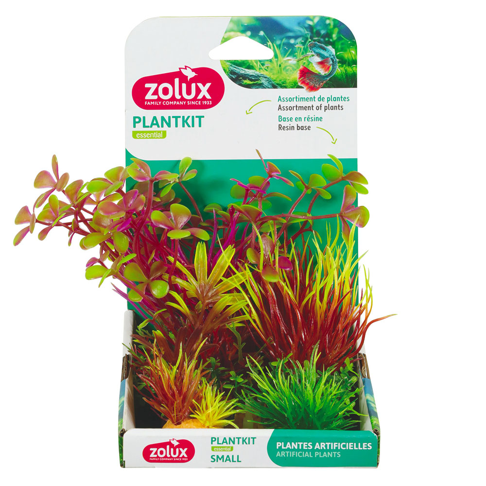 Zolux PlantKit Small 4 Assortimento 3 piantine in plastica