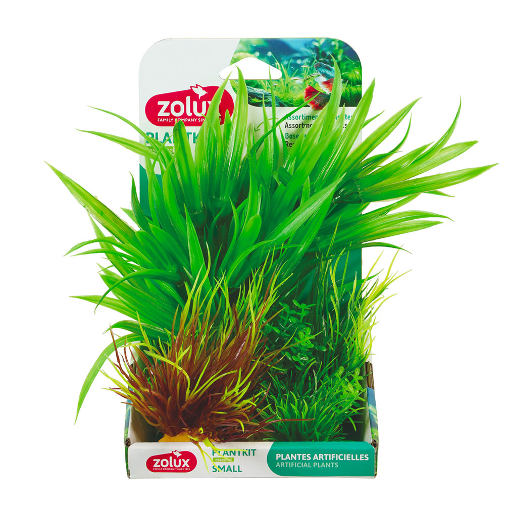 Zolux PlantKit Small 2 Assortimento 3 piantine in plastica