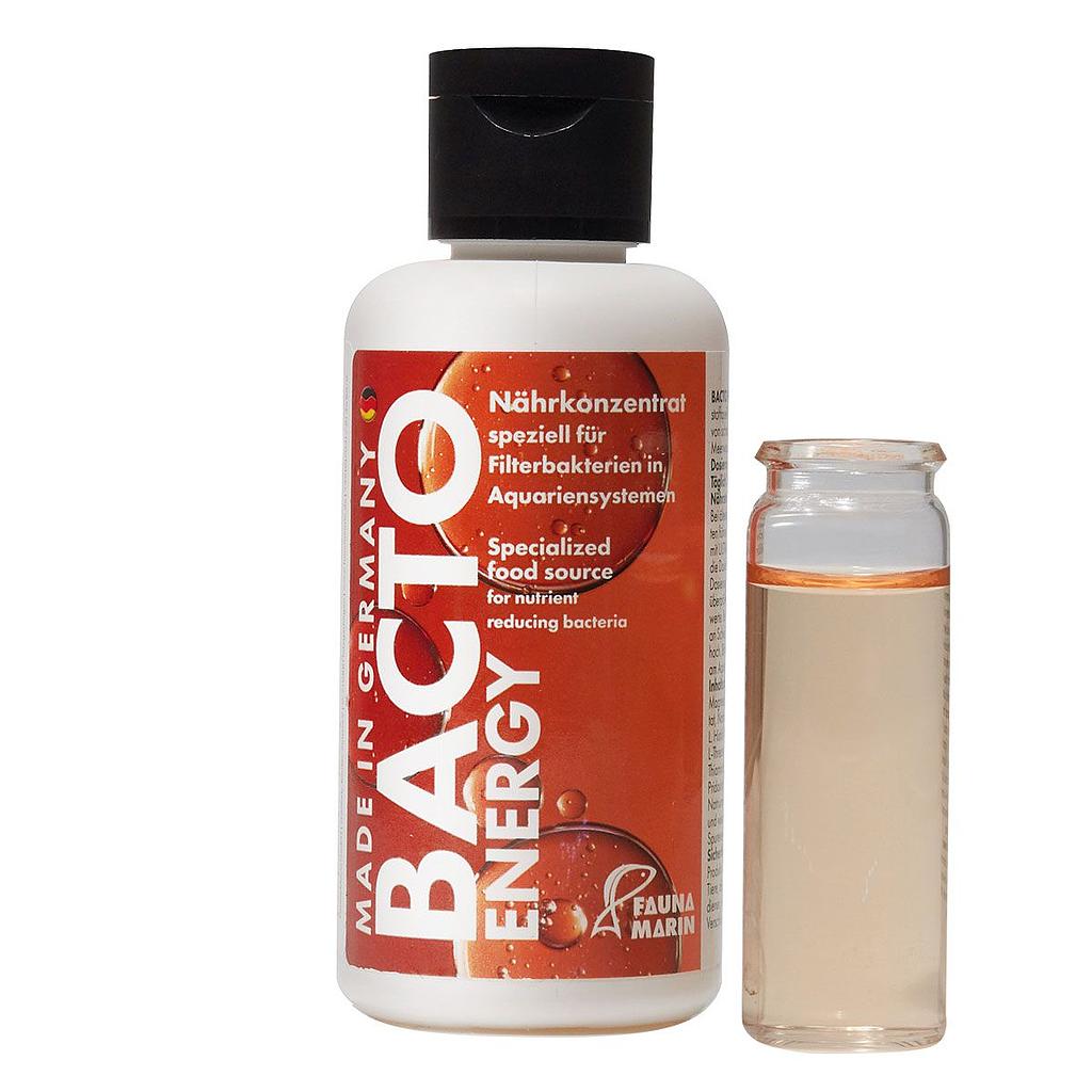 Fauna Marin Bacto Energy Alimento per Batteri 100ml