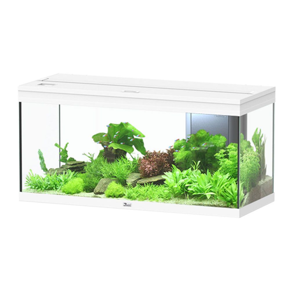 Aquatlantis Volga 180 Acquario Bianco 180 litri