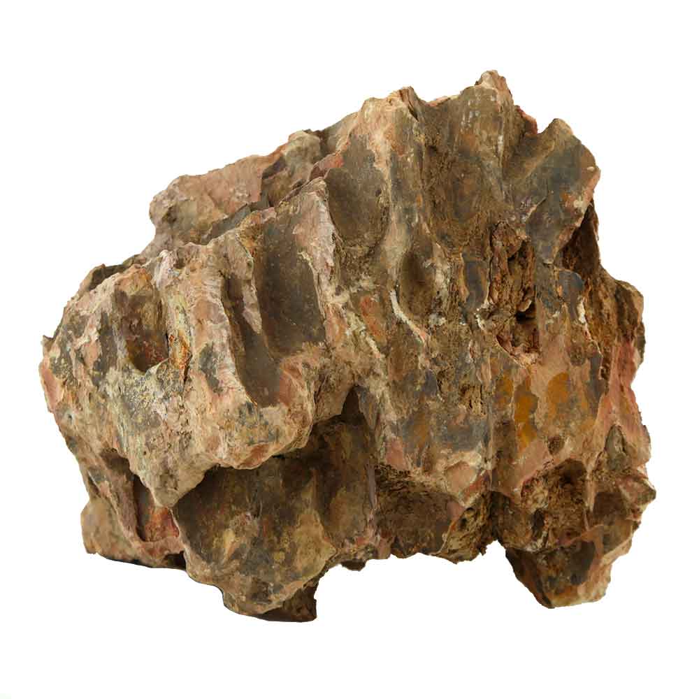 Roccia Dragon Stone 49 Foto Reale e peso 17x10x15h