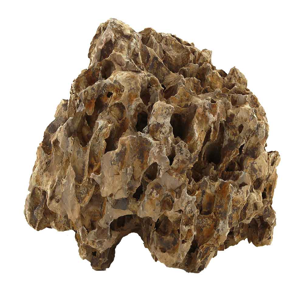 Roccia Dragon Stone 82 Foto Reale e peso 23x12x23h
