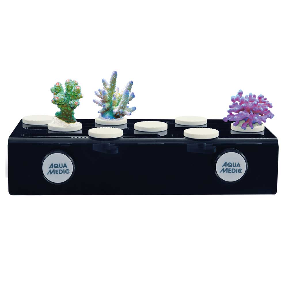 Aquamedic Frag Board con 20 Pins Portatalee coralli