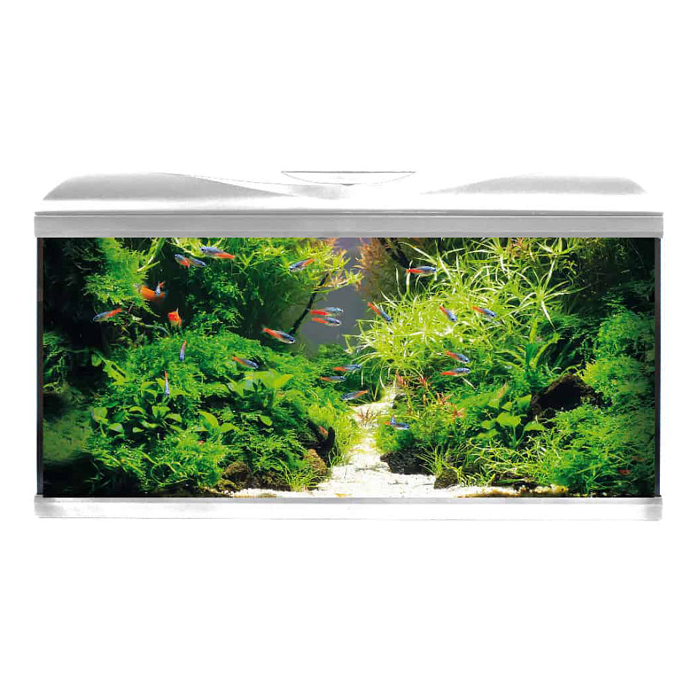 Amtra Acquario System Tank V2 80 Led con Filtering Box 150 Bianco 85lt 80x32x48h cm