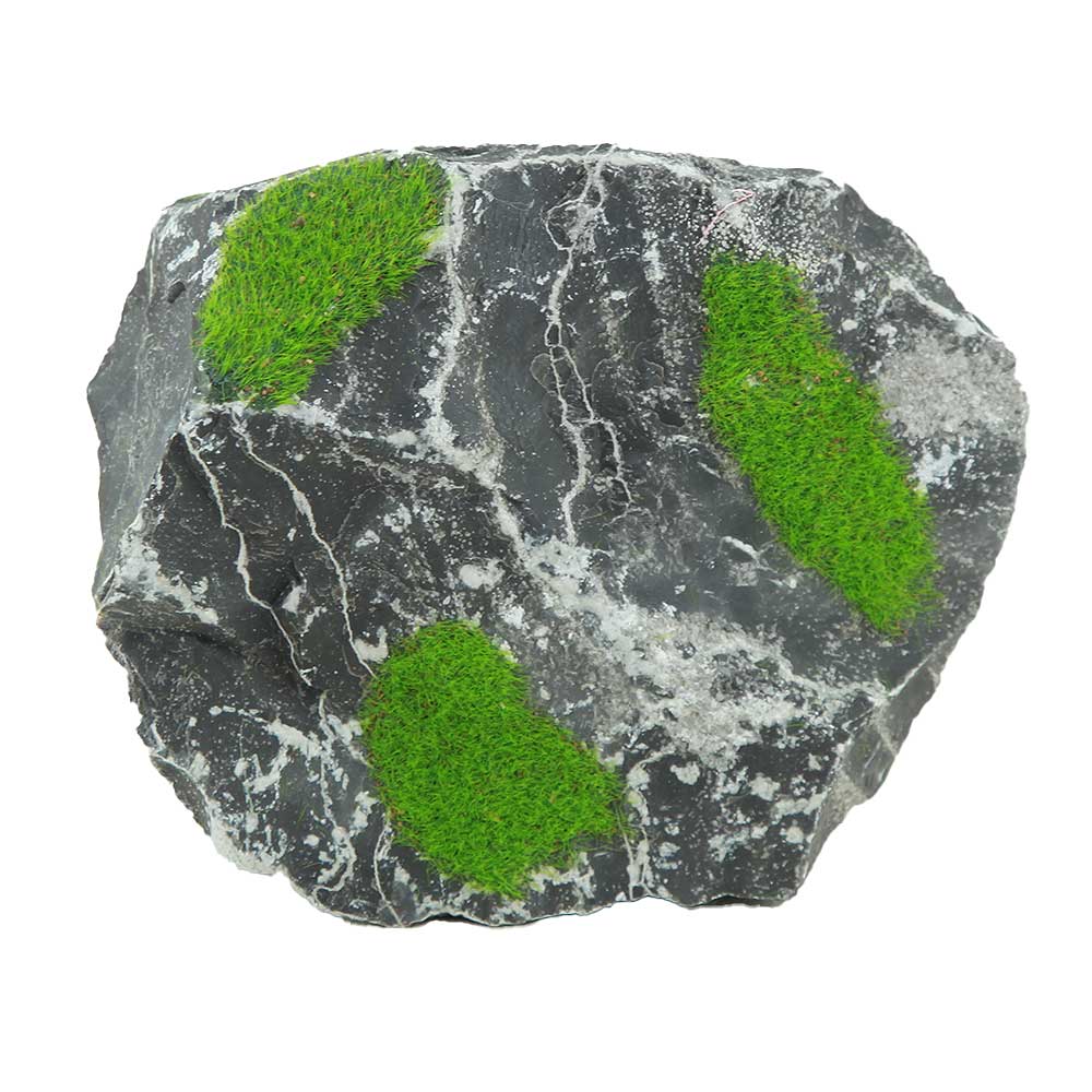 Zolux Ki Pouss Roccia Bicolore M7 con semi di Glossostigma foto reale e misure 13x9x10h cm