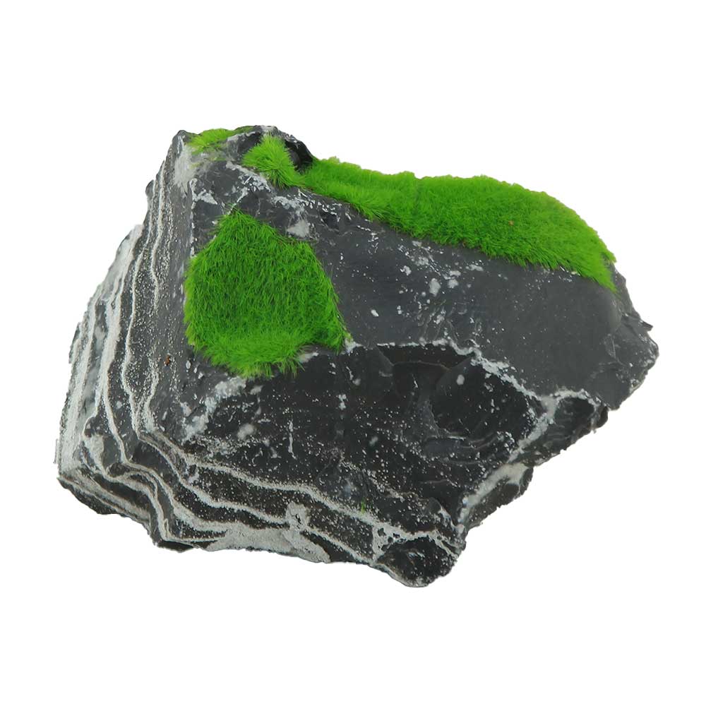 Zolux Ki Pouss Roccia Bicolore S5 con semi di Glossostigma foto reale e misure 10x7x7h cm