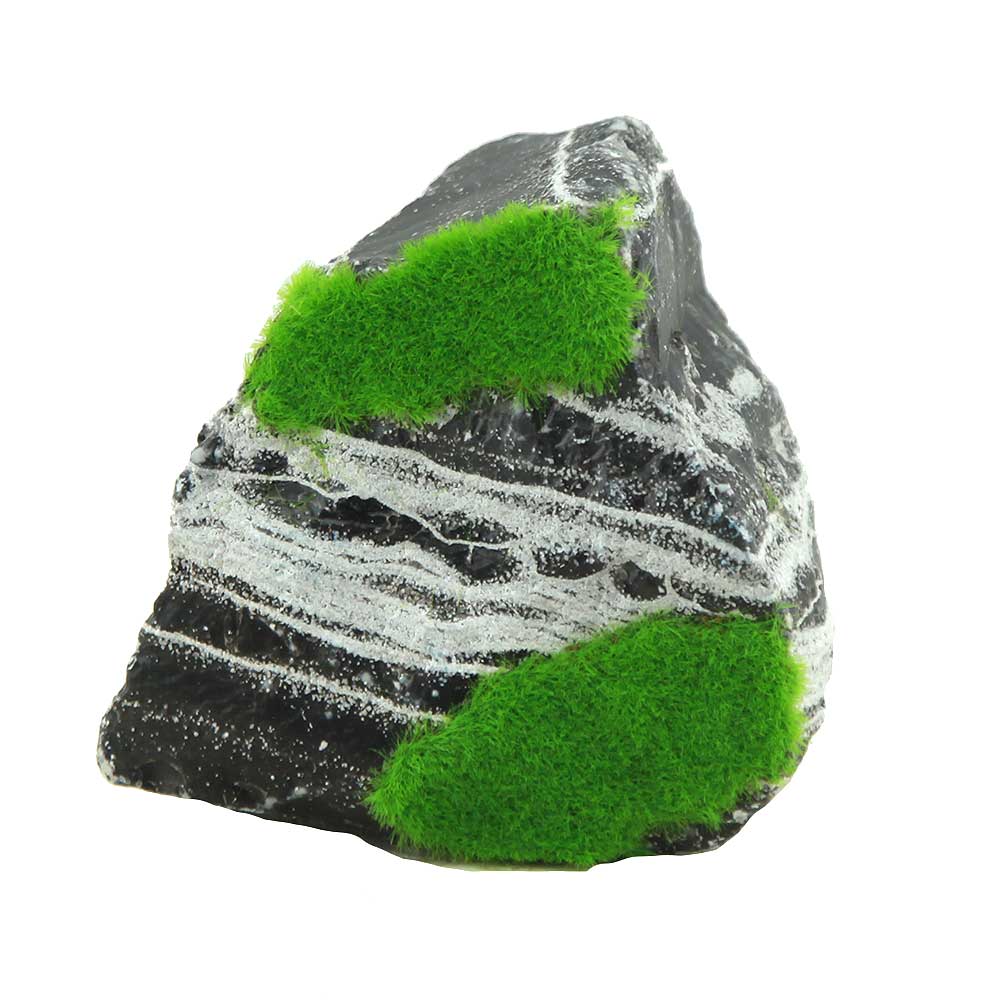Zolux Ki Pouss Roccia Bicolore S6 con semi di Glossostigma foto reale e misure 8x7x7h cm