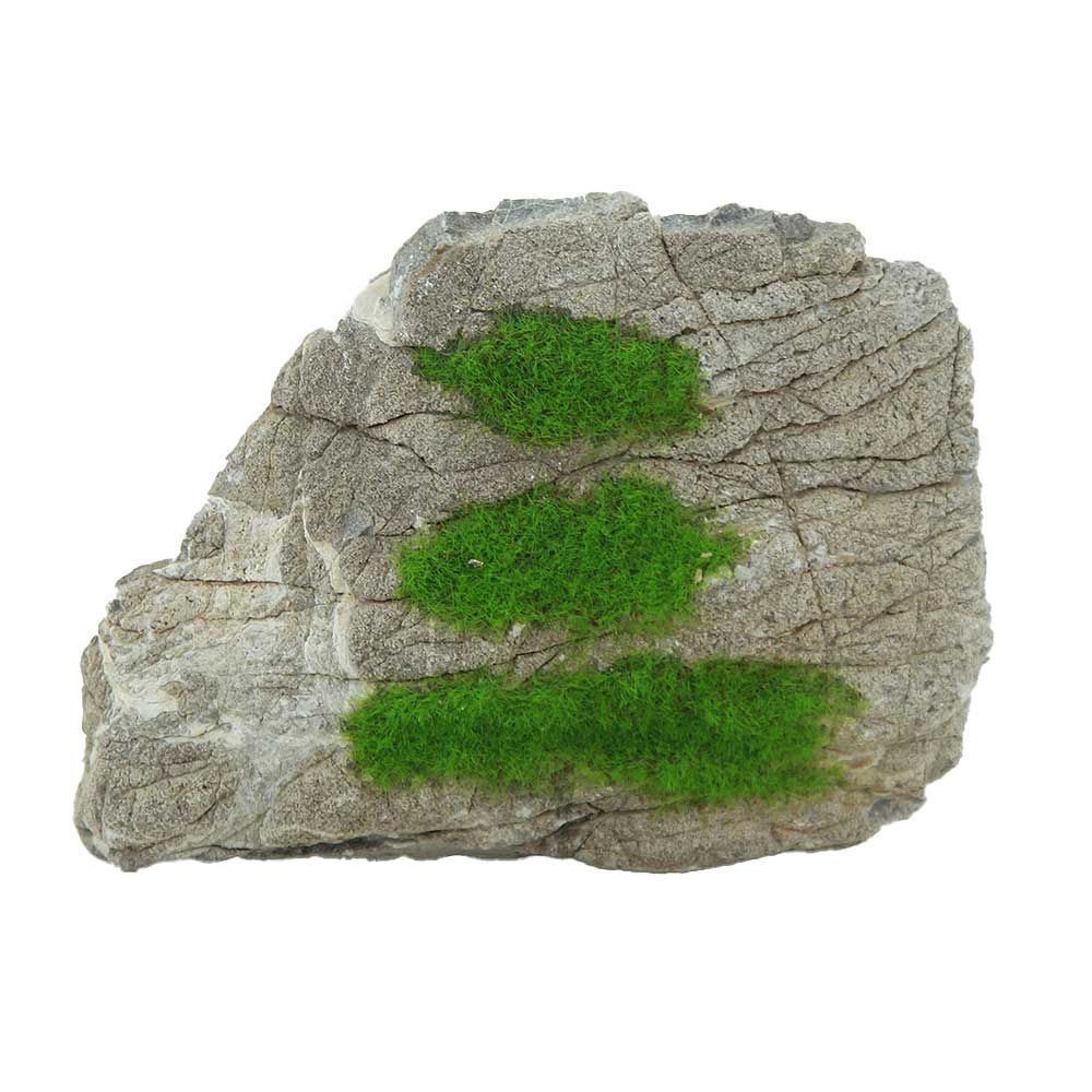Zolux Ki Pouss Roccia Grigia S5 con semi di Glossostigma foto reale e misure 12x4x9h cm