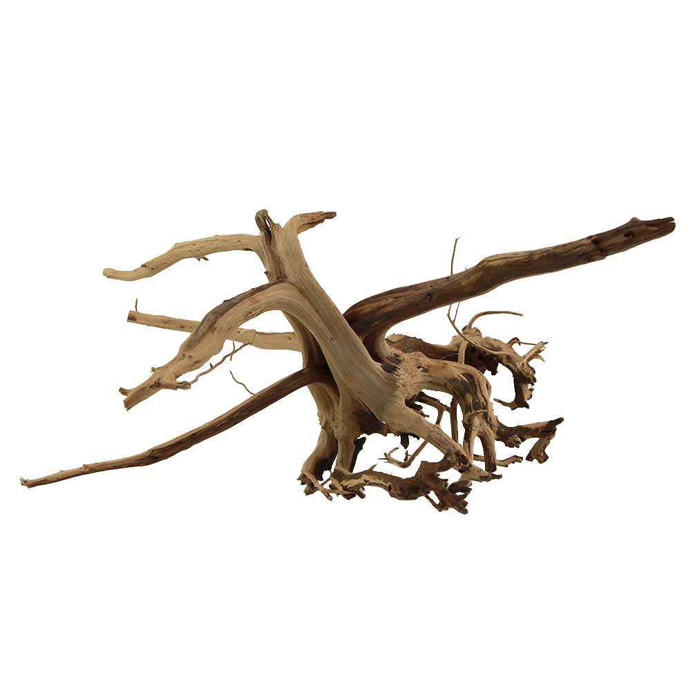 Legno Branch Wood 2065 con foto reale e misure 30x22x15h cm