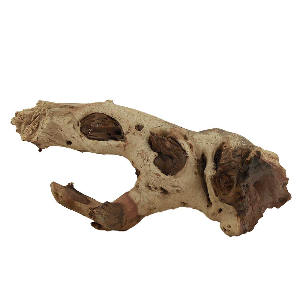 Legno Mopani 875 con Foto Reale e Misure 30x9x13h cm