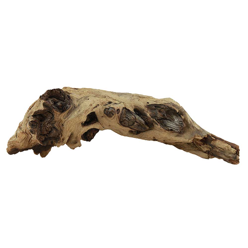 Legno Mopani 877 con Foto Reale e Misure 34x9x11h cm