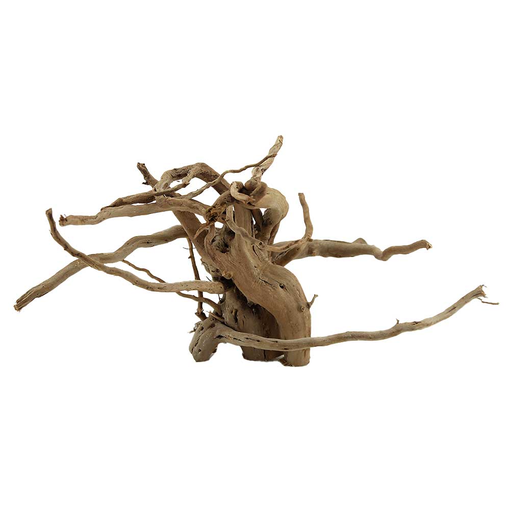 Legno Branch Wood 2073 con foto reale e misure 40x23x21h cm