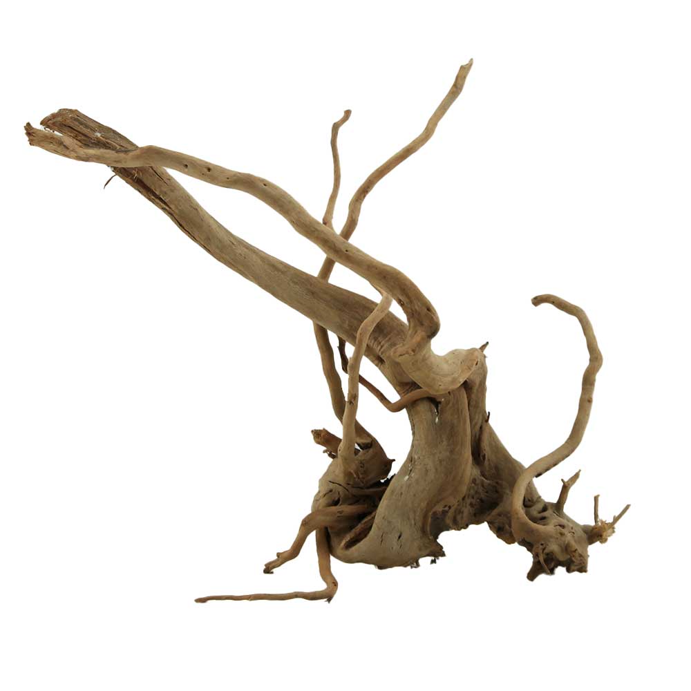 Legno Branch Wood 2090 con foto reale e misure 26x16x23h cm