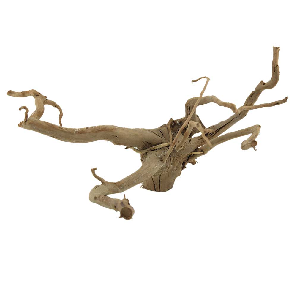 Legno Branch Wood 2091 con foto reale e misure 40x27x21h cm