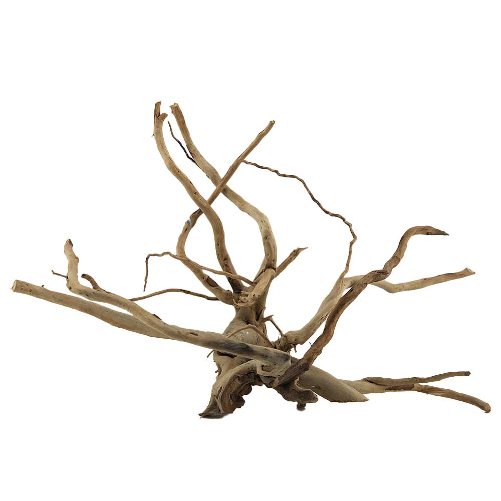 Legno Branch Wood 2095 con foto reale e misure 40x20x26h cm