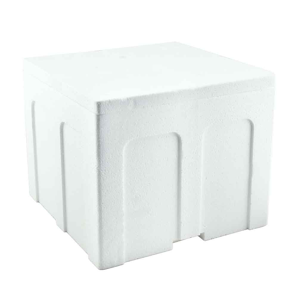Box Polistirolo Pro S 26x26x22h cm