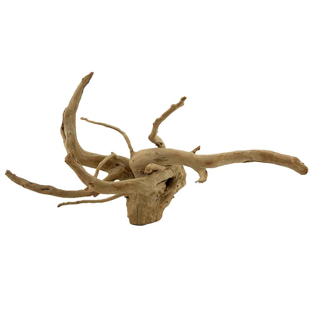 Legno Branch Wood 2113 con foto reale e misure 53x22x28h cm