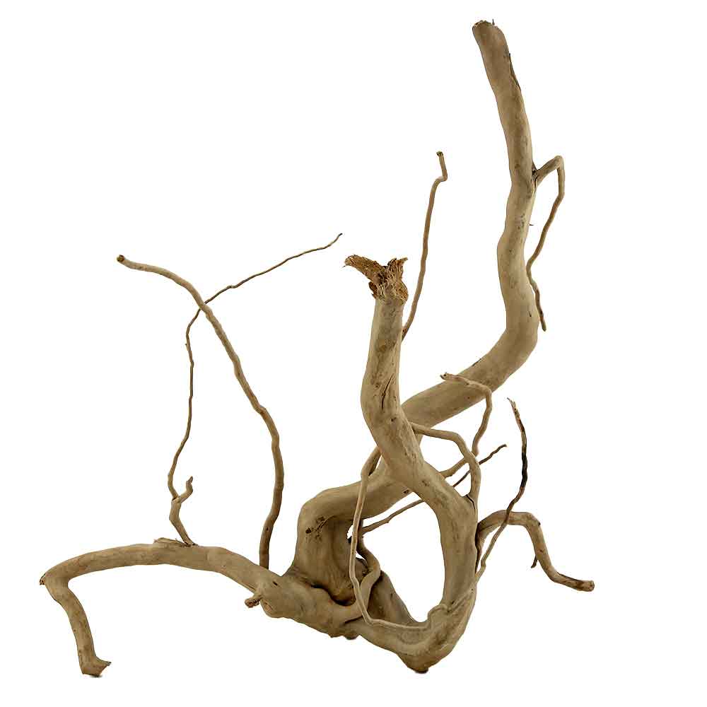 Legno Branch Wood 2115 con foto reale e misure 32x27x36h cm