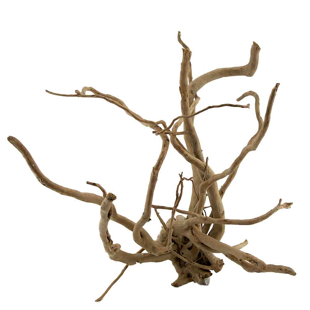 Legno Branch Wood 2116 con foto reale e misure 44x38x49h cm
