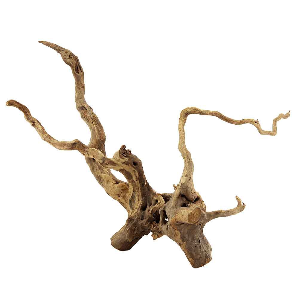 Legno Branch Wood 2117 con foto reale e misure 50x26x33h cm