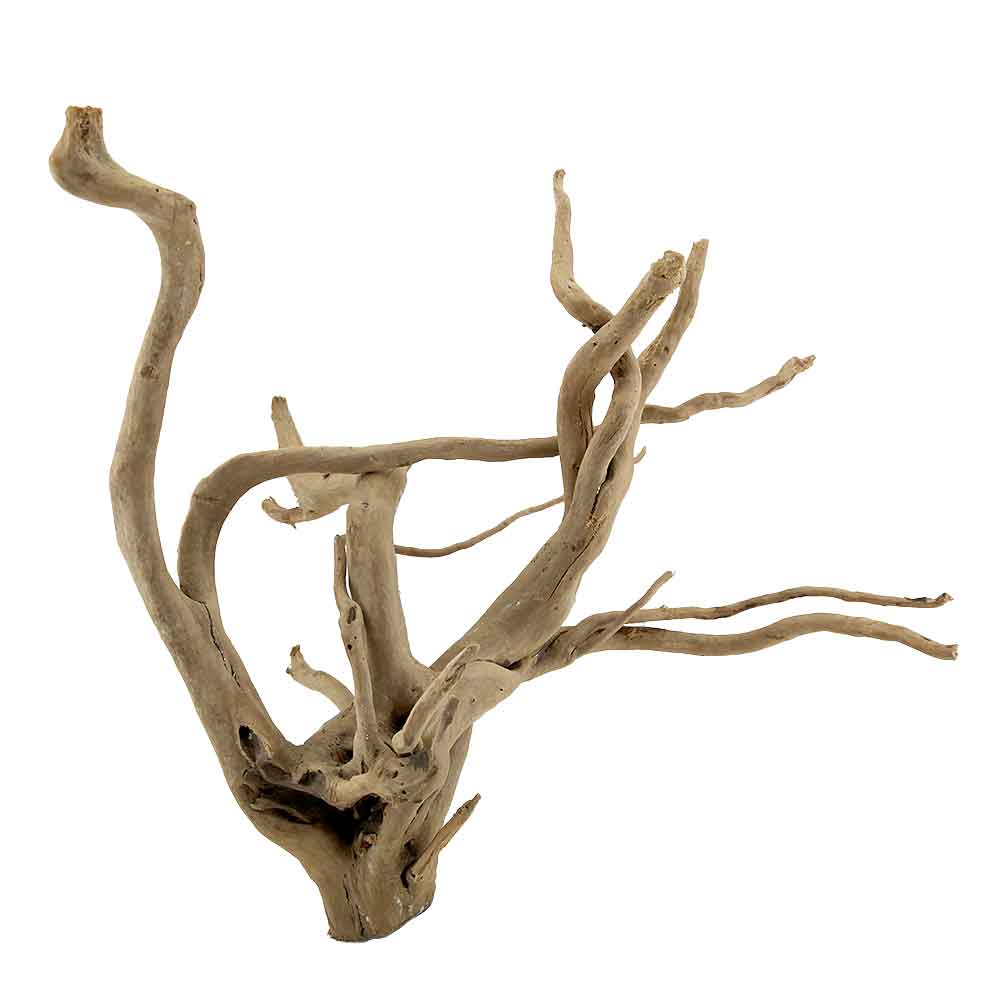 Legno Branch Wood 2118 con foto reale e misure 38x21x34h cm