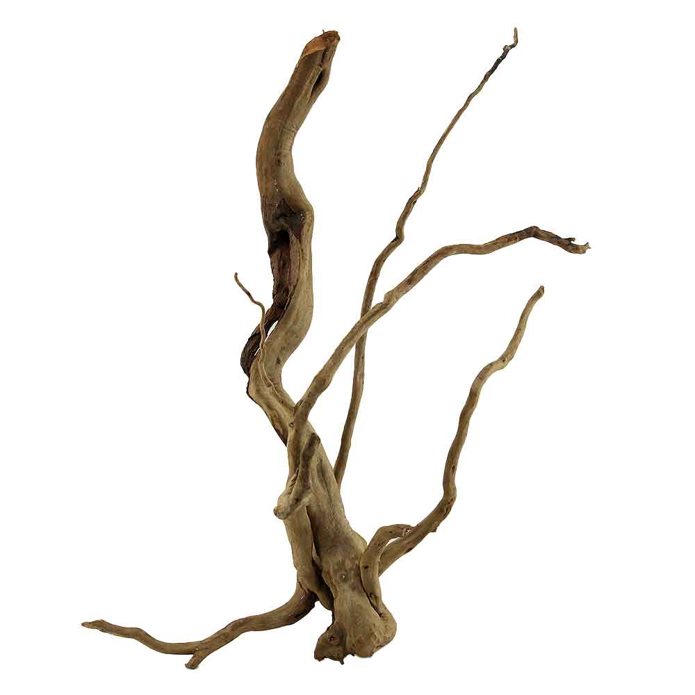 Legno Branch Wood 2119 con foto reale e misure 35x28x45h cm