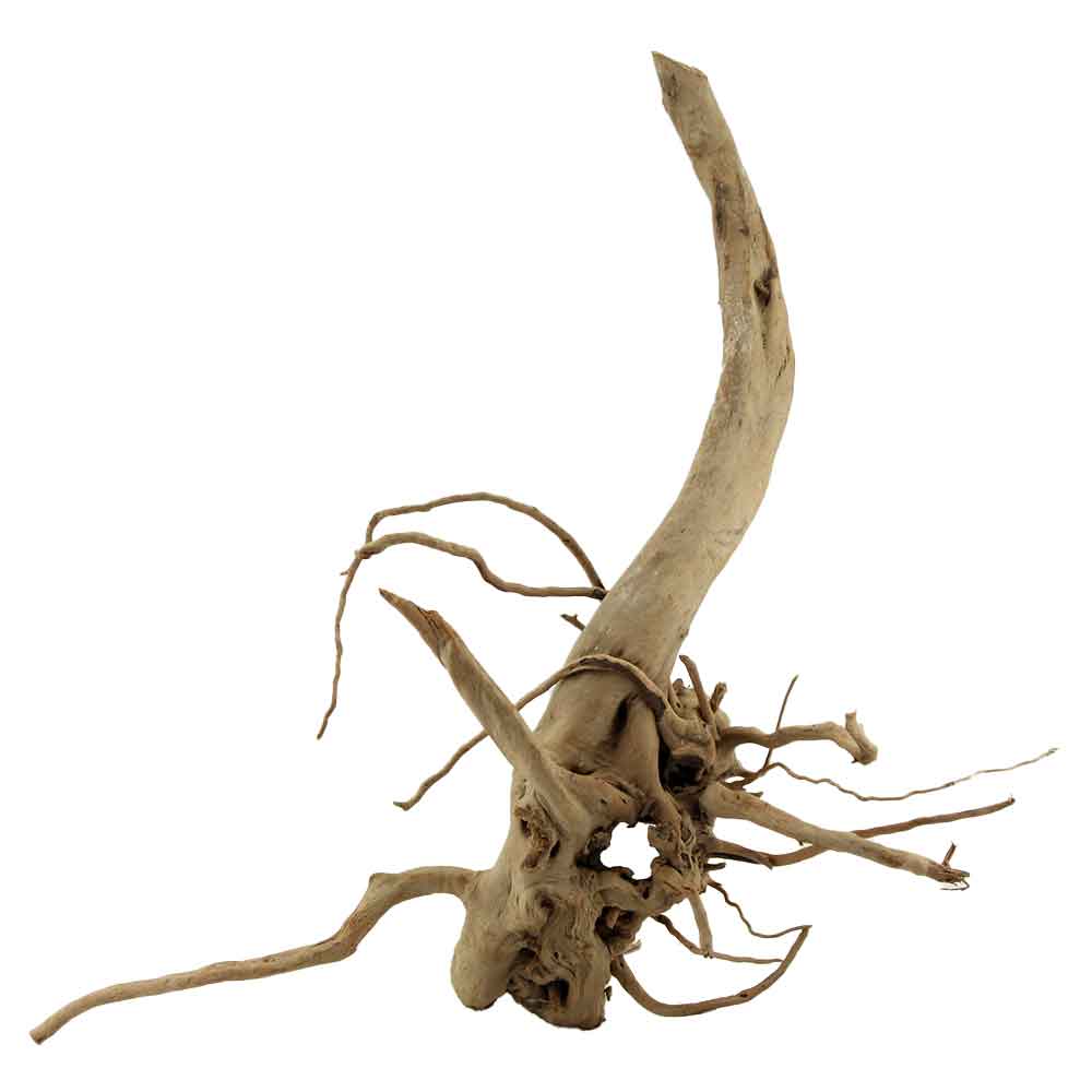 Legno Branch Wood 2120 con foto reale e misure 45x22x47h cm