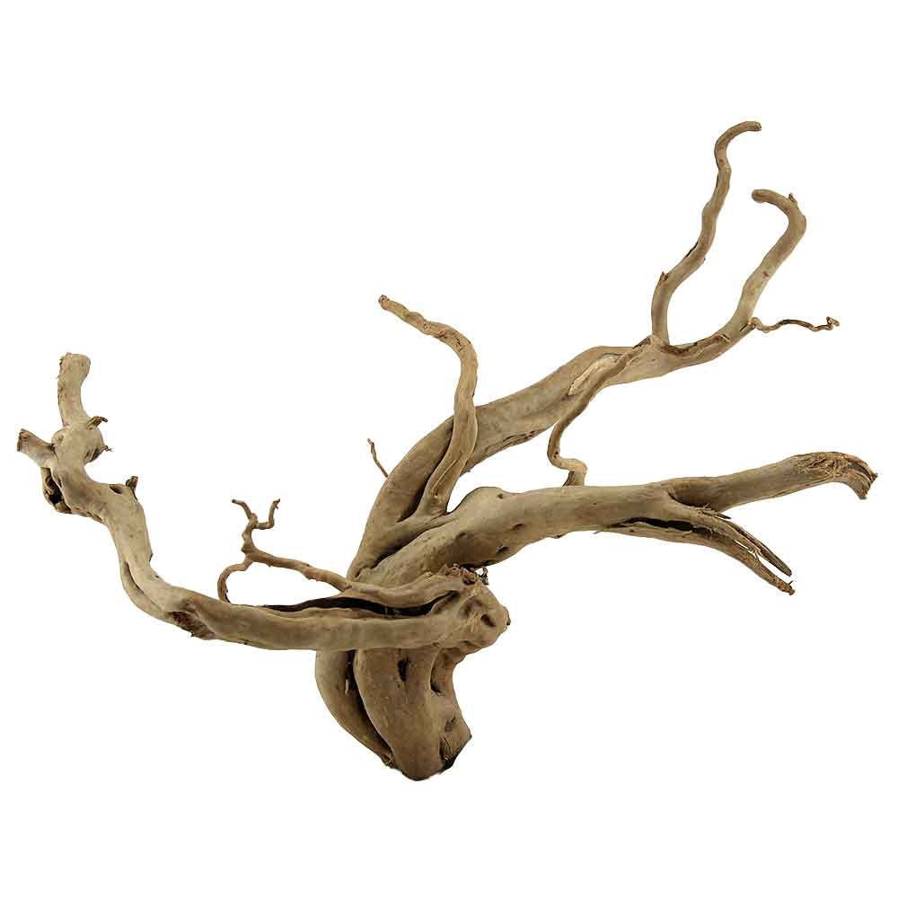 Legno Branch Wood 2121 con foto reale e misure 46x27x35h cm
