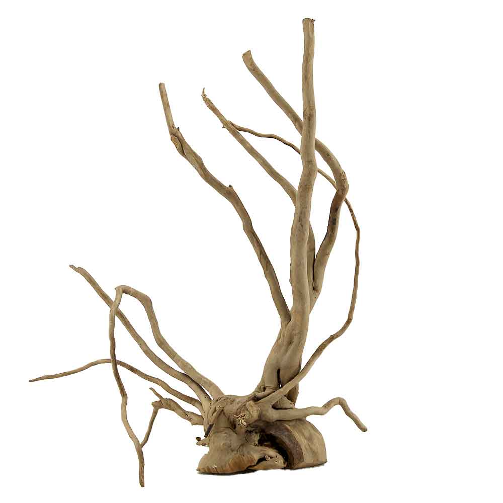 Legno Branch Wood 2122 con foto reale e misure 28x12x35h cm