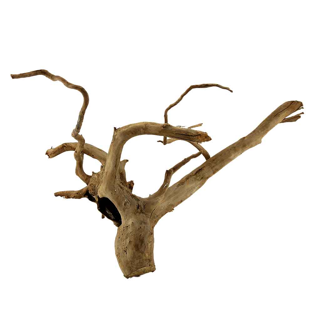 Legno Branch Wood 2123 con foto reale e misure 47x25x35h cm